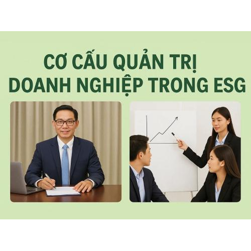 1. Cơ cấu quản trị doanh nghiệp trong ESG