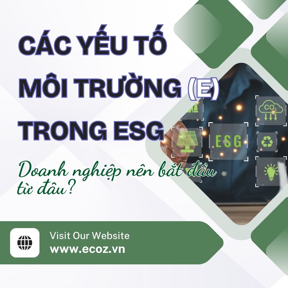 Các Yếu Tố Môi Trường (E) Trong ESG: Doanh Nghiệp Nên Bắt Đầu Từ Đâu?