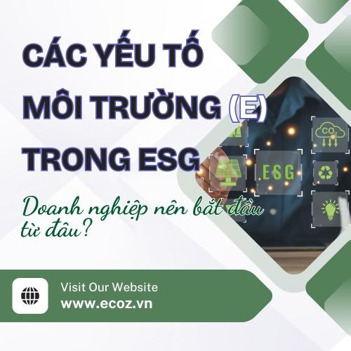 Các Yếu Tố Môi Trường (E) Trong ESG: Doanh Nghiệp Nên Bắt Đầu Từ Đâu?