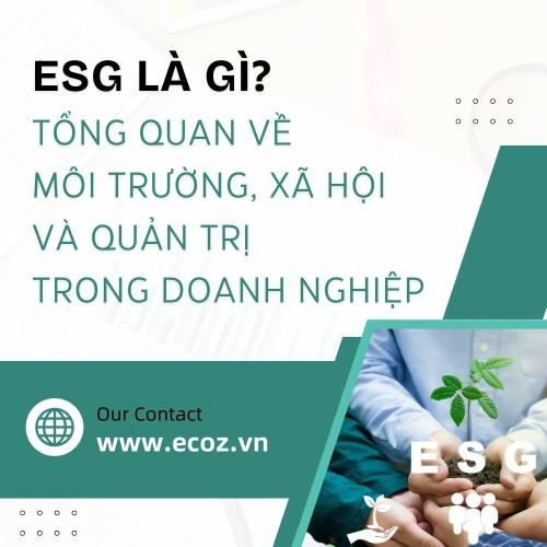 ESG Là Gì? Tổng Quan Về Môi Trường, Xã Hội Và Quản Trị Trong Doanh Nghiệp