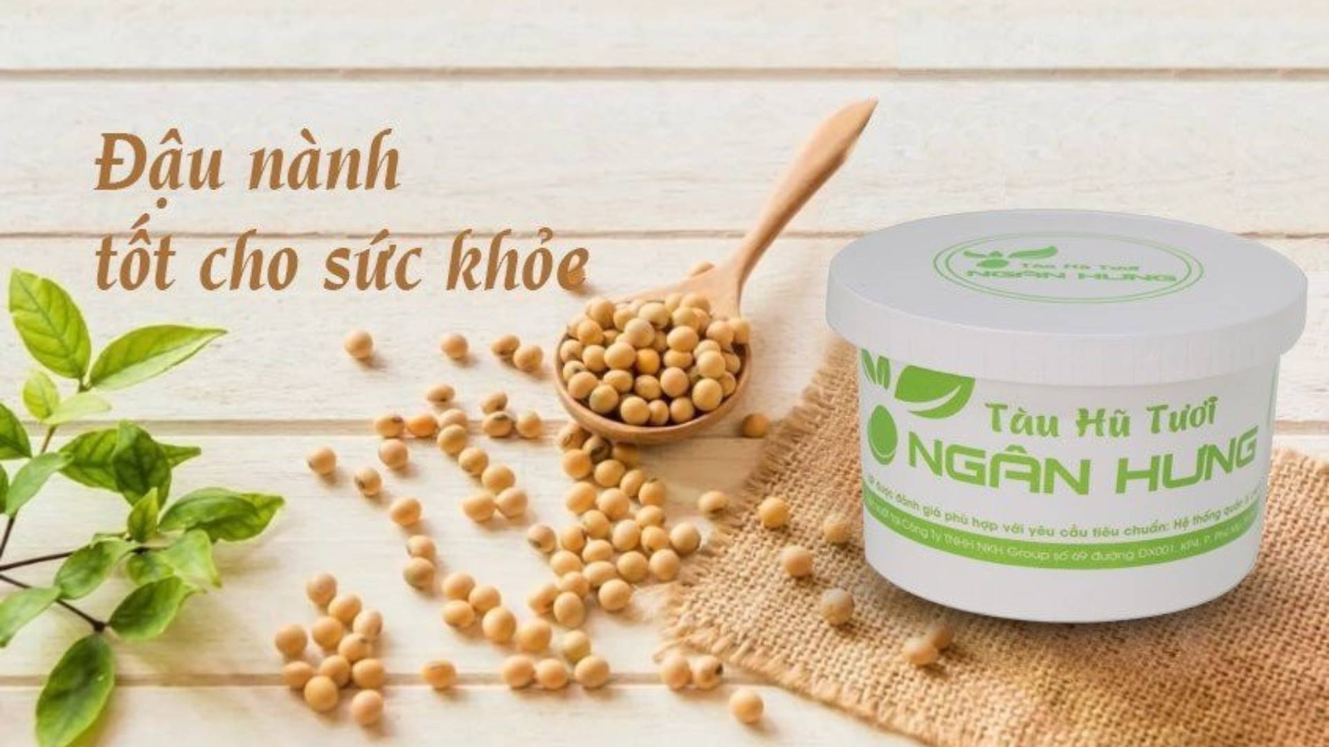 Tầm nhìn bền vững – Vươn xa bằng giá trị gốc rễ