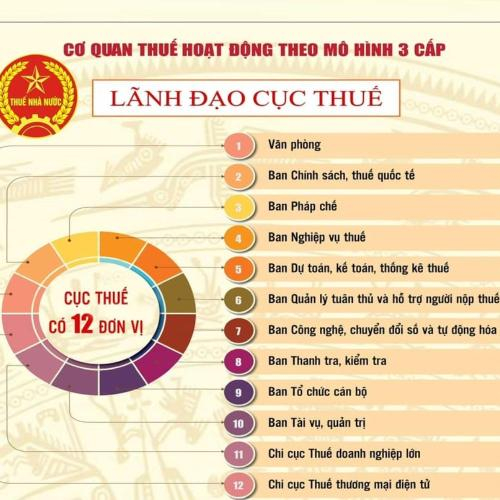 Cơ Cấu Hệ Thống Thuế Việt Nam và Ảnh Hưởng Đến Doanh Nghiệp