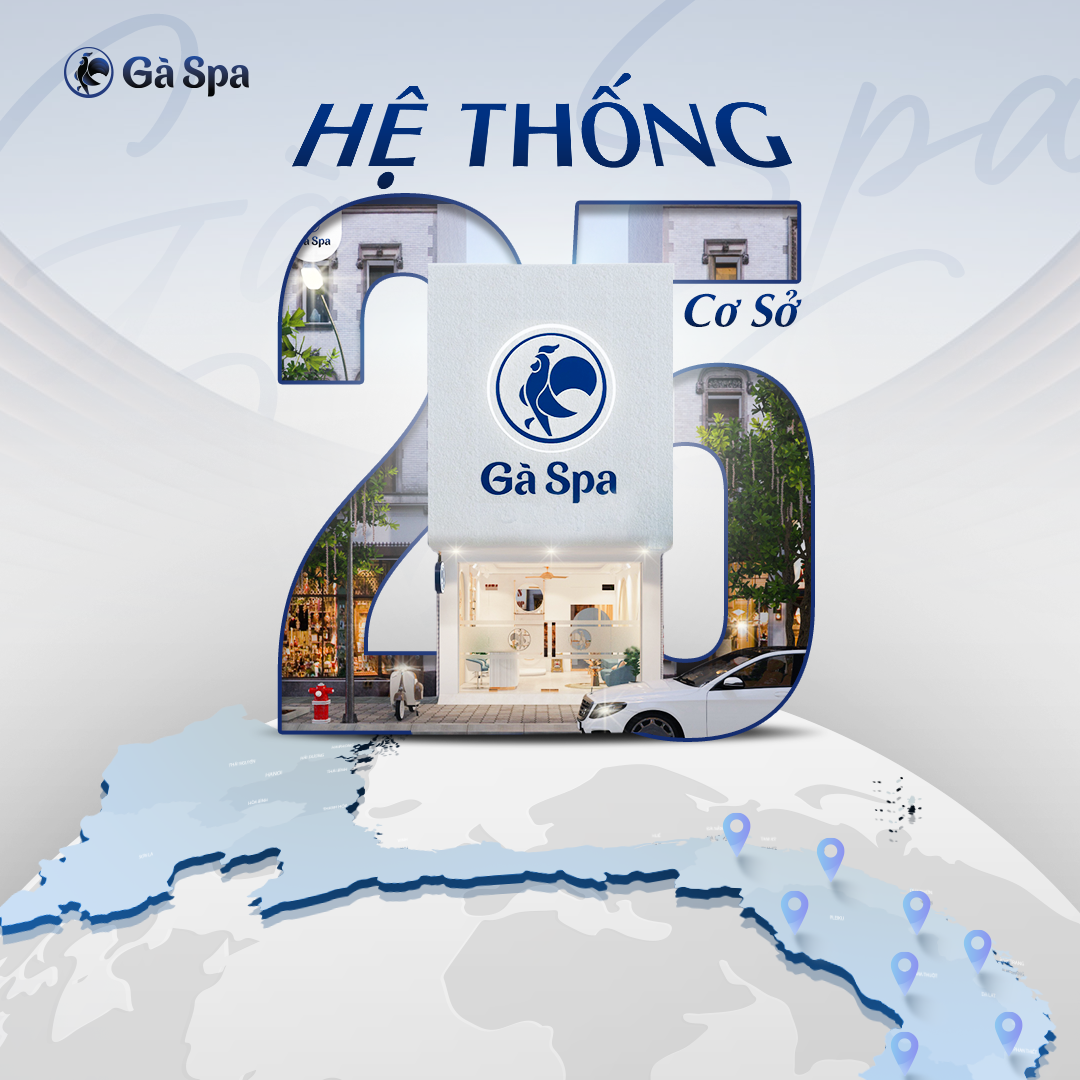 Hệ thống cơ sở