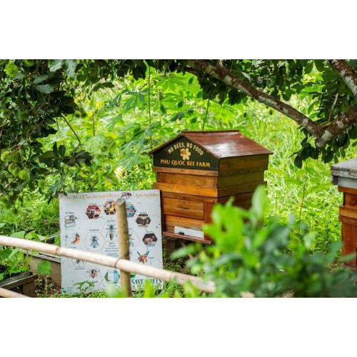 (TOUR GHÉP) Chèo Thuyền Thúng Sông Cửa Cạn & Tham Quan Trang Trại Mật Ong