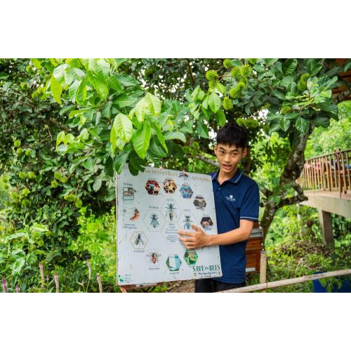 (TOUR GHÉP) Chèo Thuyền Thúng Sông Cửa Cạn & Tham Quan Trang Trại Mật Ong