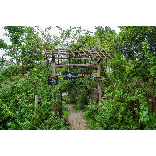 (TOUR GHÉP) Chèo Thuyền Thúng Sông Cửa Cạn & Tham Quan Trang Trại Mật Ong