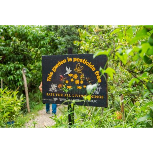 (TOUR GHÉP) Chèo Thuyền Thúng Sông Cửa Cạn & Tham Quan Trang Trại Mật Ong