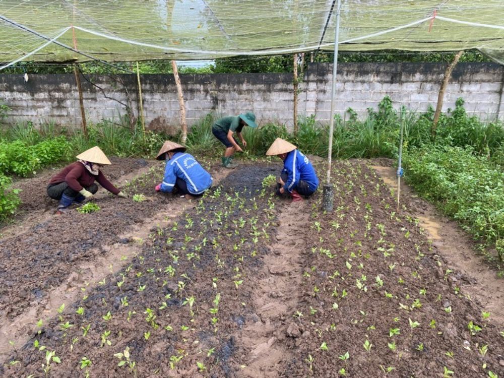 Nguồn gốc chứng nhận