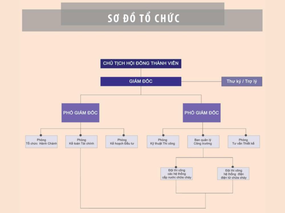 V. Sơ đồ tổ chức