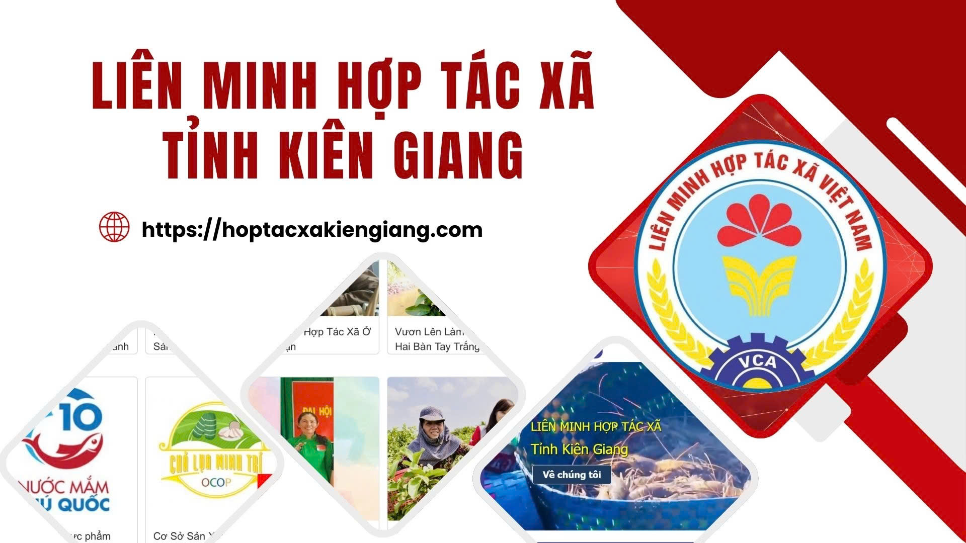 Liên Minh Hợp Tác Xã Tỉnh Kiên Giang