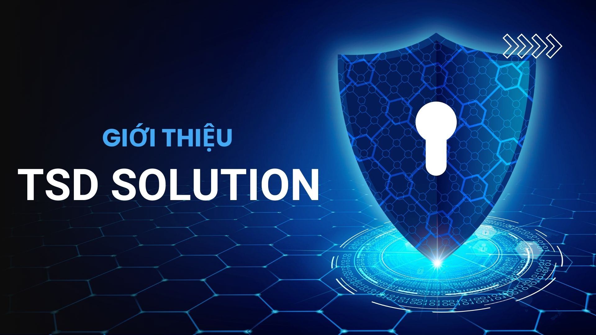 I. Về TSD Solution