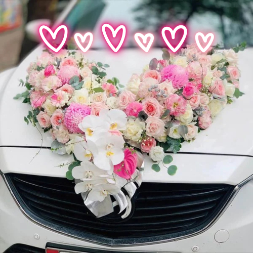 Xe Hoa Là Gì? Ý Nghĩa Hoa Mỹ Của Xe Hoa