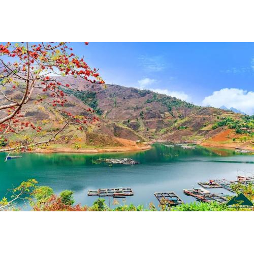 Văn hóa và du lịch