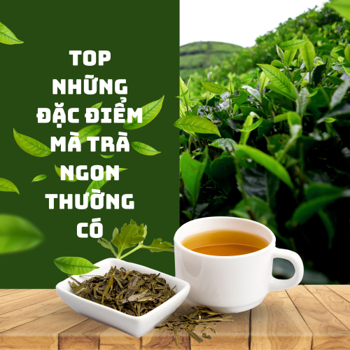 Trà Ngon Có Những Đặc Điểm Nào? Cách Nhận Biết Chuẩn Vị 100%!