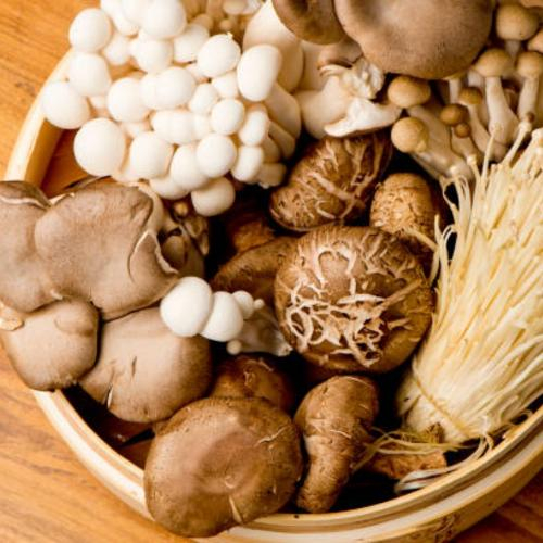 Những Lợi Ích Bất Ngờ Nếu Bạn Ăn Nấm Mỗi Ngày