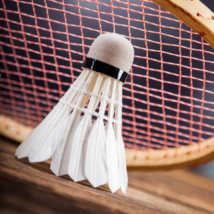 A083FcAfB1D4H97 Quả Cầu Lông Taro C01