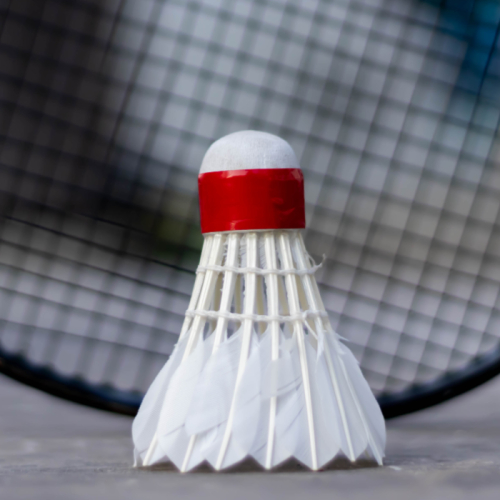 Quả Cầu Lông C30