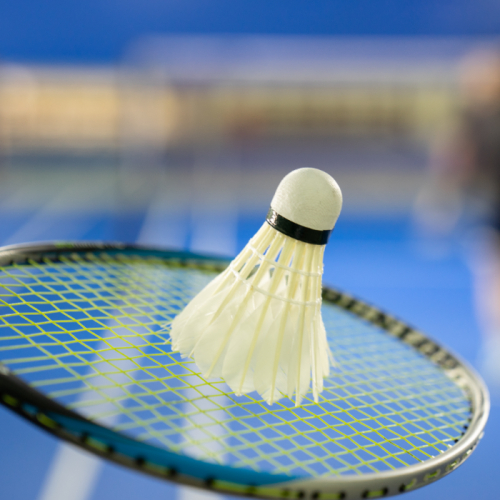 Quả Cầu Lông HYFA