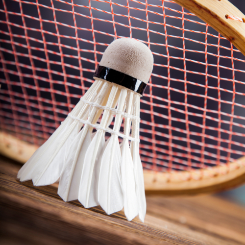 Quả Cầu Lông Taro C01