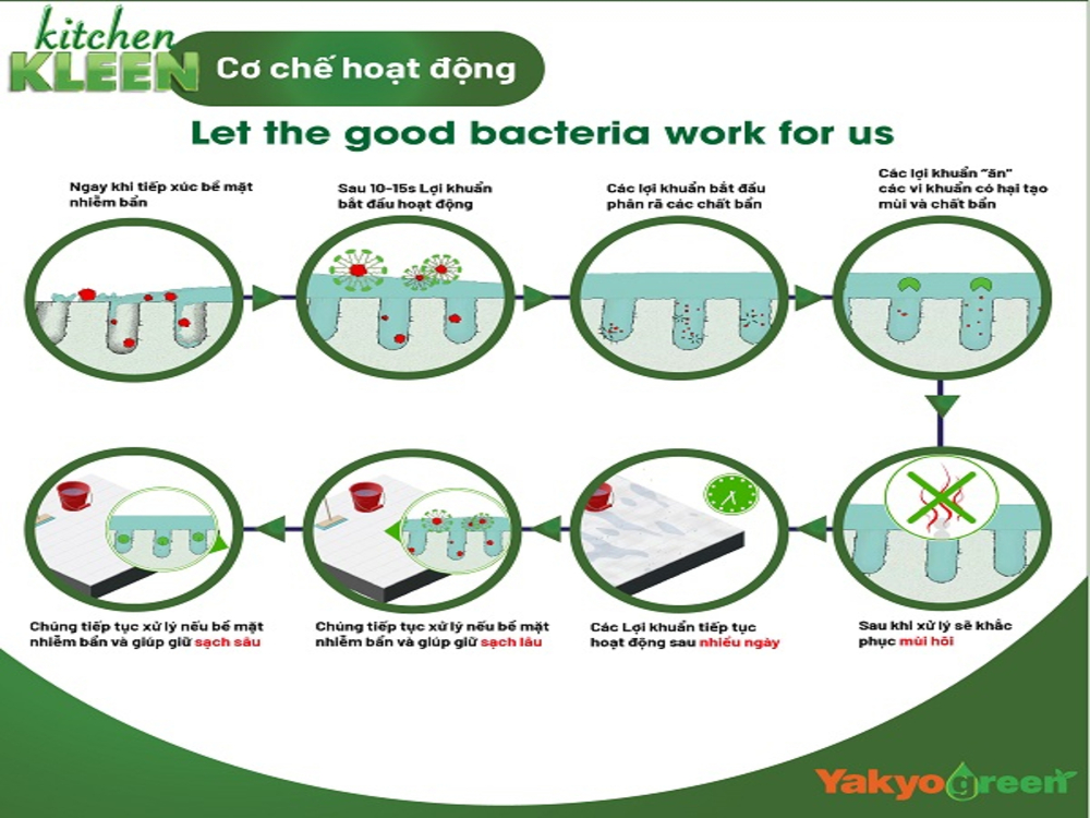 5. Cách sử dụng sản phẩm và cơ chế hoạt động