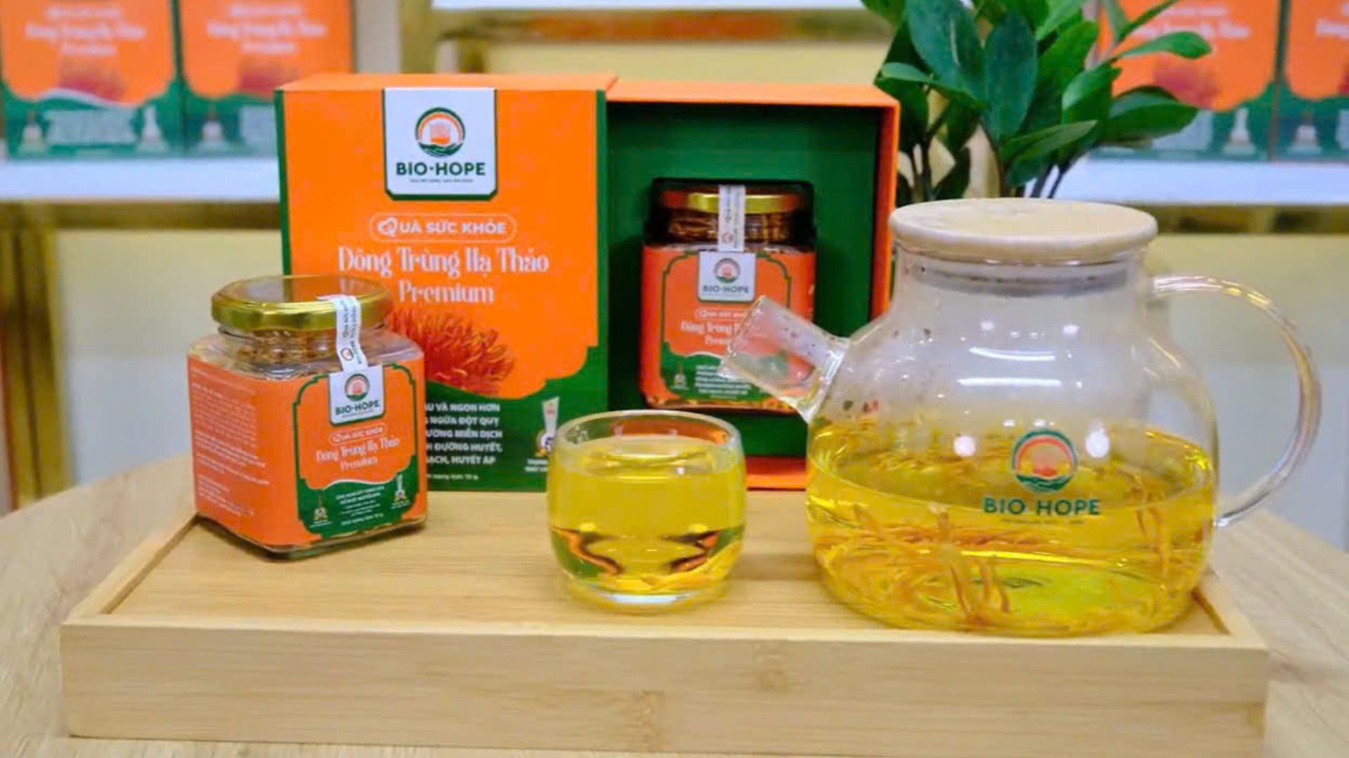 1. Đông Trùng Hạ Thảo: Tác dụng đối với nam giới, sinh lý và người cần tăng cường năng lượng