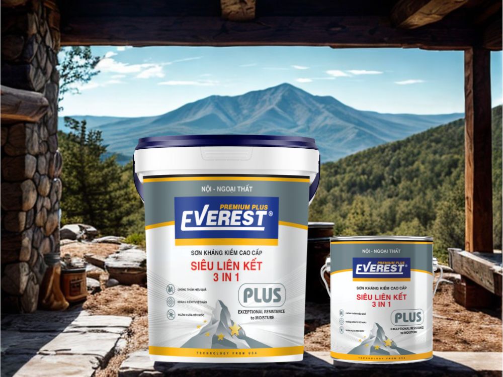 2. Cơ chế chống rêu mốc của EVEREST PLUS