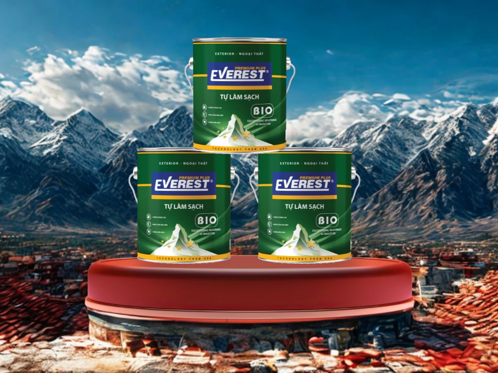 4. Lợi ích khi sử dụng EVEREST PLUS