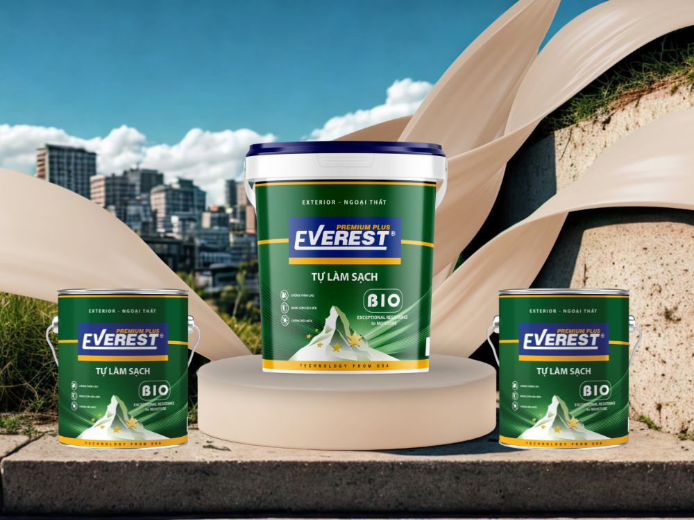 1. Giới thiệu về EVEREST PLUS