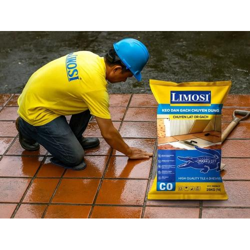 1. Tầm nhìn xanh của LIMOSI