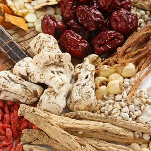 Bài Thuốc Đông Y Chữa Bệnh Viêm Loét Dạ Dày – Tá Tràng