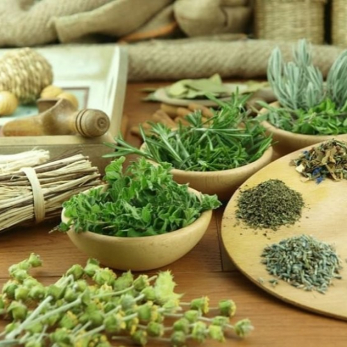 Những Loại Rau Quen Thuộc Đánh Bật Bệnh Nguy Hiểm Không Ngờ