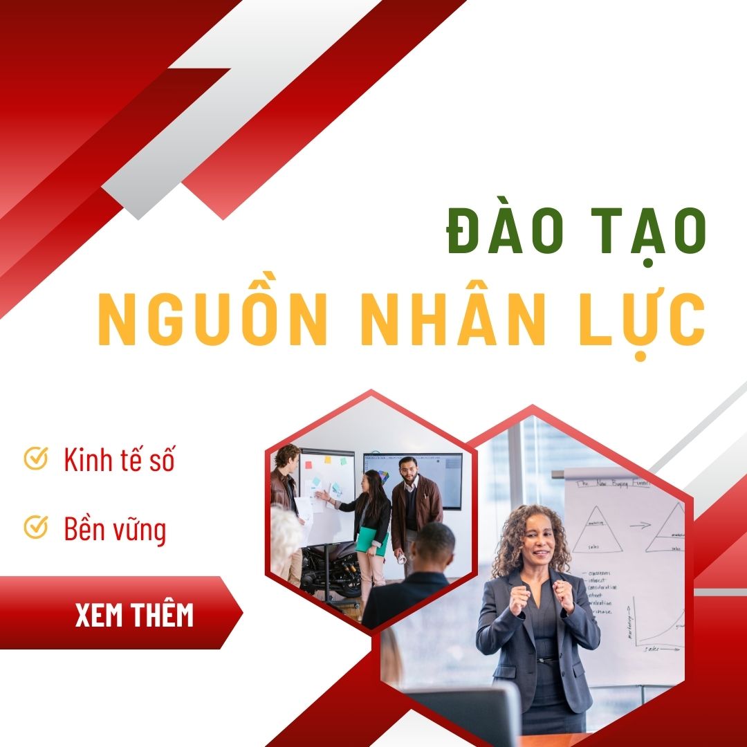 Đào Tạo Nguồn Nhân Lực Phát Triển Kinh Tế Số Bền Vững