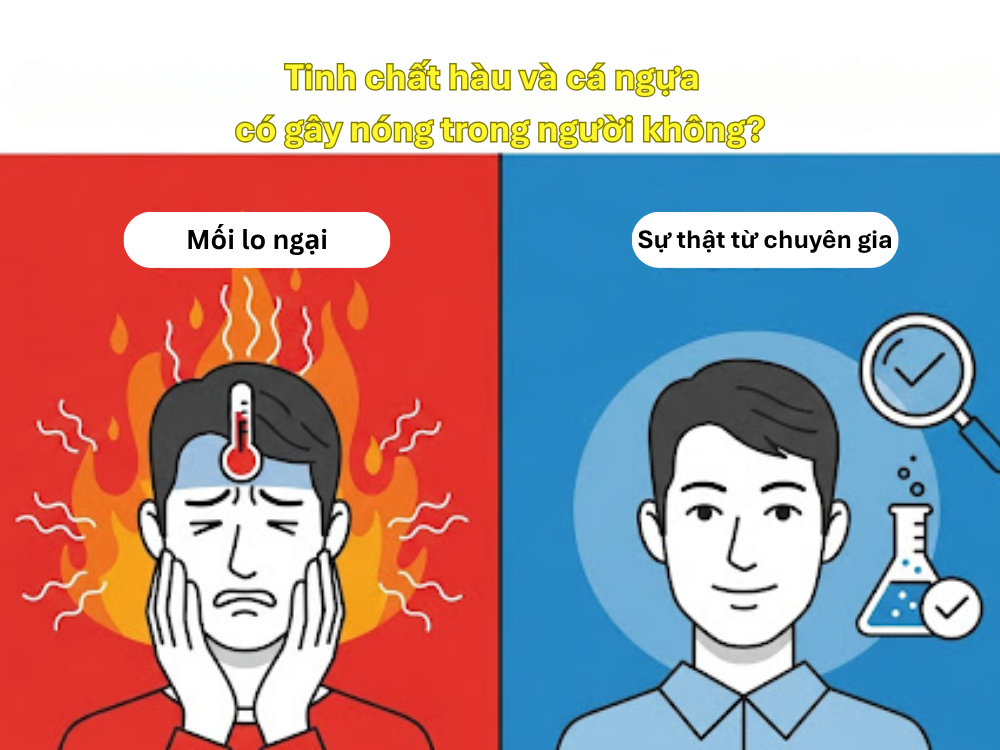 I. Giới thiệu