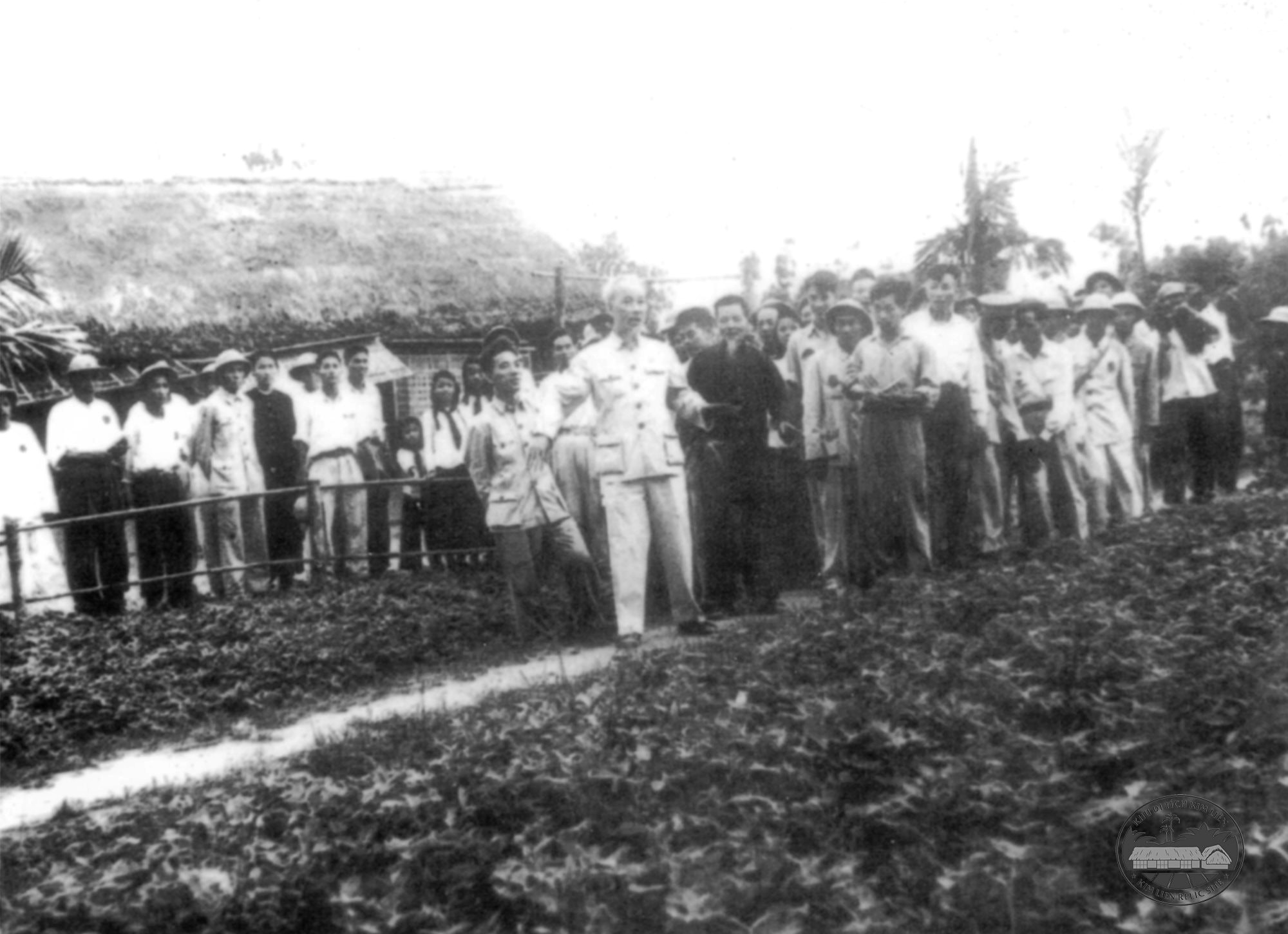 2. Nguyễn Thị Thanh không lập gia đình riêng?