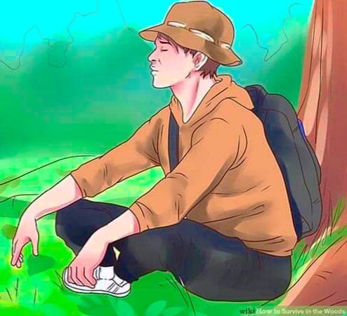 1-Những mẹo xử lý tình huống khi gặp phải ở trong rừng