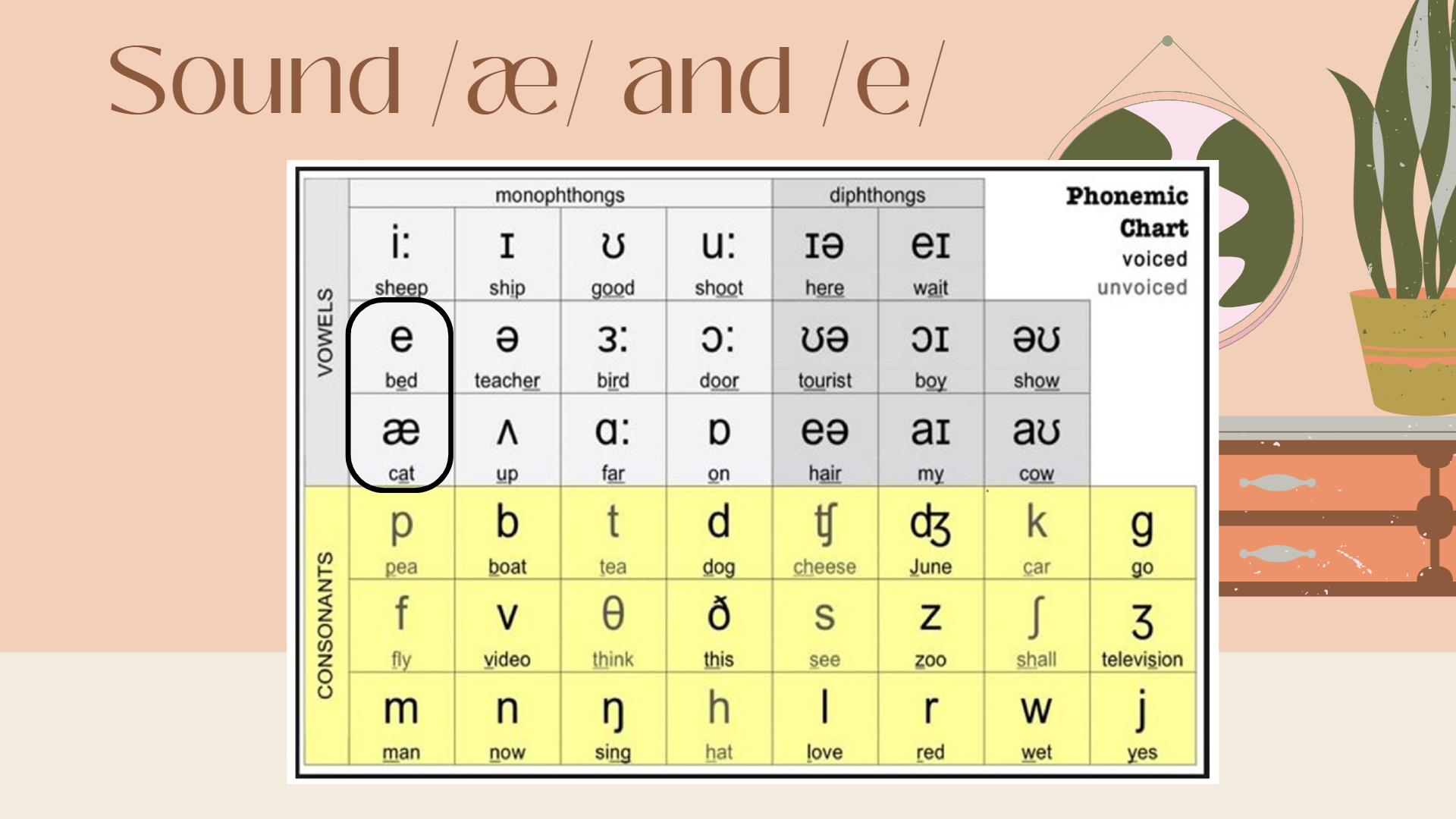 2.1Learn IPA by your own