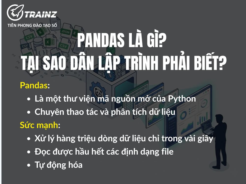 Pandas là gì? Tại sao dân lập trình phải biết?
