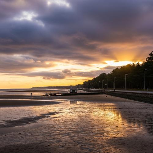 Từ Rừng U Minh Đến Biển Khai Long – Hành Trình Ẩm Thực Bếp Cà Mau