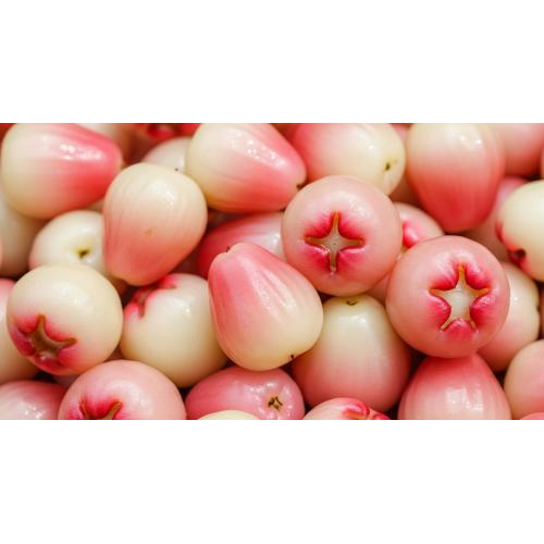 Sự kết hợp giữa thiên nhiên và con người Đồng Tháp