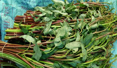 Hơn cả một món ăn, đó là nỗi nhớ nhà