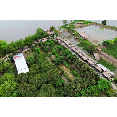 Không gian chợ quê giữa nhịp sống hiện đại