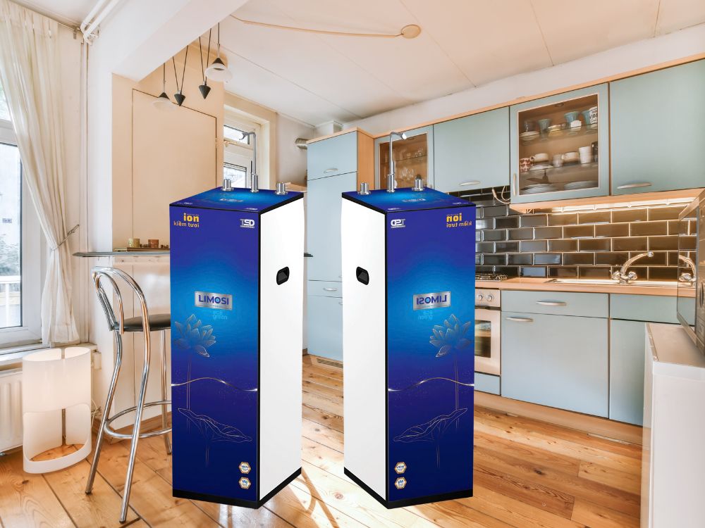 2. Tác dụng chống oxy hóa, giảm lão hóa tế bào