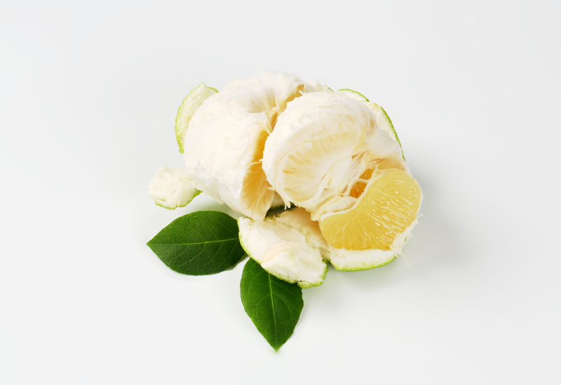 Salad và món gỏi