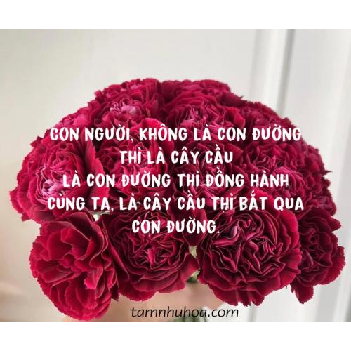 Con người đồng hành và kết nối