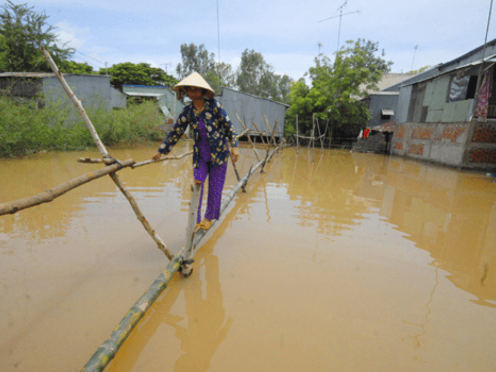 “Quê em mùa nước lũ” – khúc ca đi vào lòng người