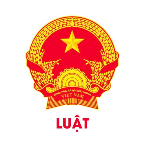 Luật Số 41/2024/QH15 Của Quốc Hội: Luật Bảo Hiểm Xã Hội