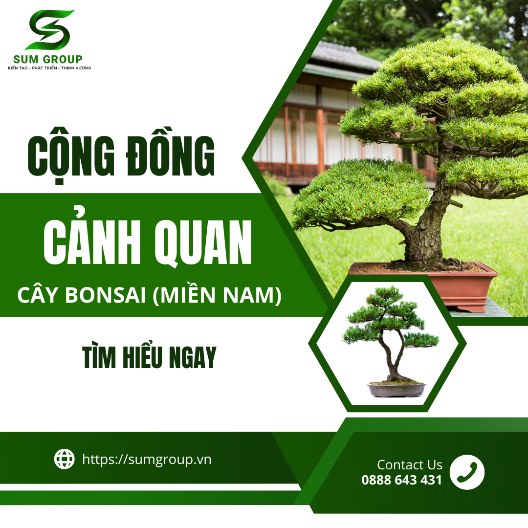 Cộng Đồng Cảnh Quan Cây Bonsai Miền Nam