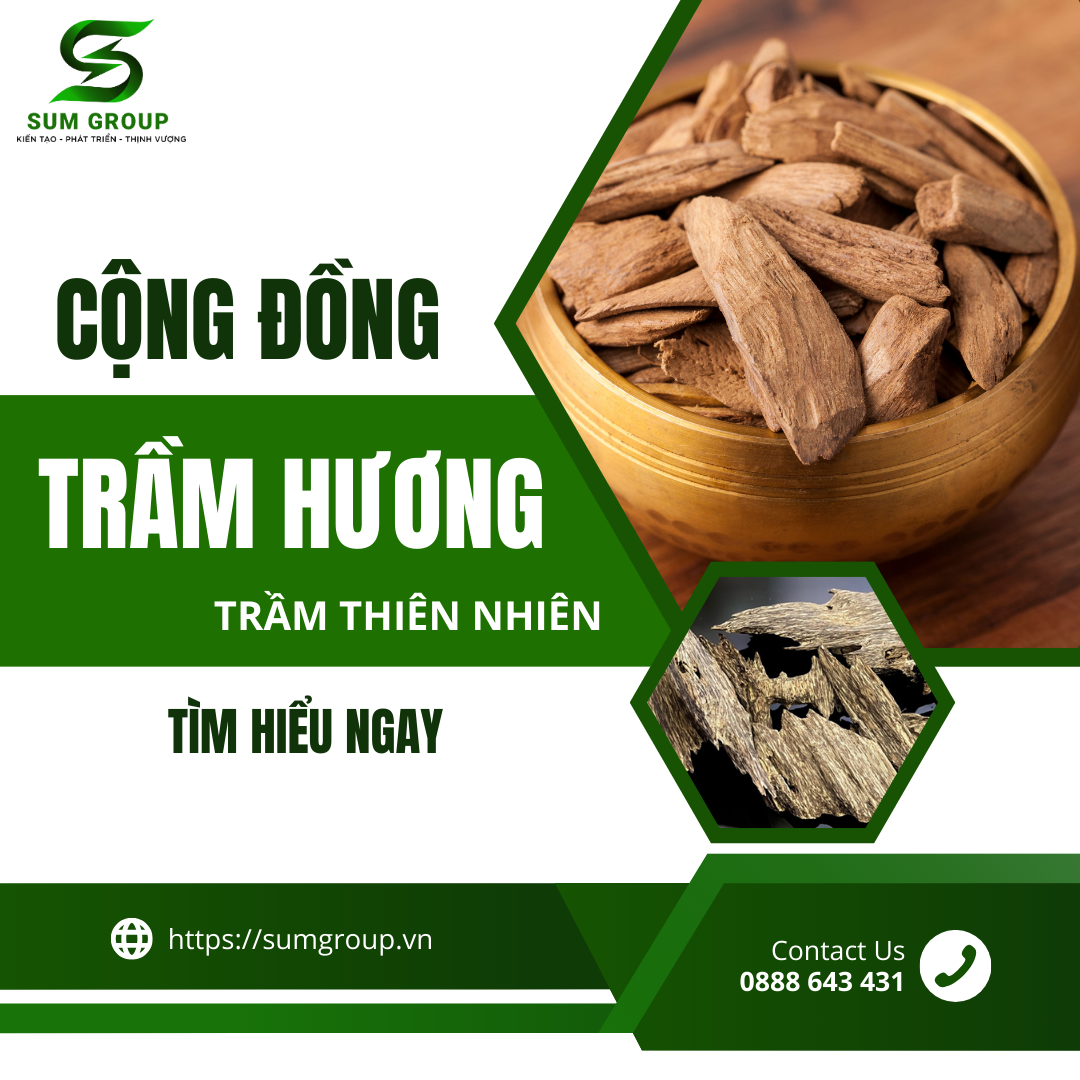 Cộng Đông Trầm Hương Thiên Nhiên