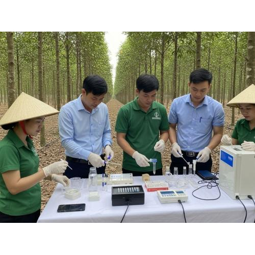 2. Chế phẩm lên men gỗ trầm hương