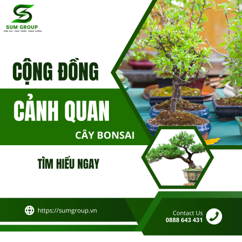 Cộng đồng Bonsai